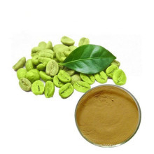 Factory direct sale of pure natural green coffee bean extract powder